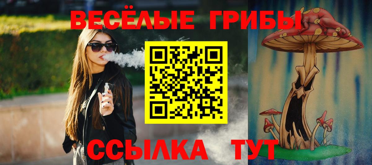 Галлюциногенные грибы мухоморы  Вход с VPN  где продают   Прокопьевск 